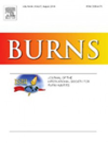 Burns期刊
