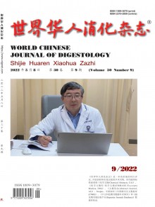 世界华人消化期刊