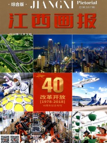 江西画报期刊