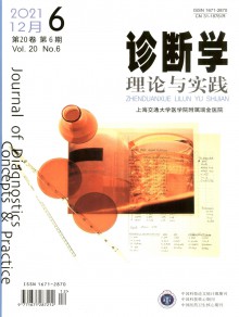 诊断学理论与实践期刊