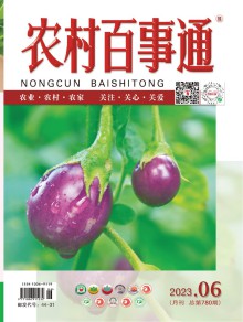 农村百事通期刊