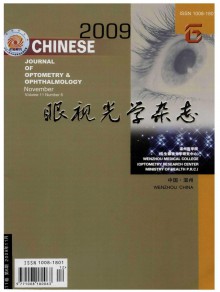 眼视光学期刊