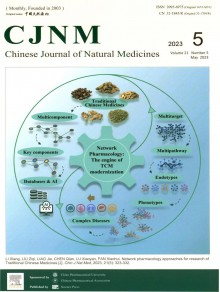 中国天然药物期刊