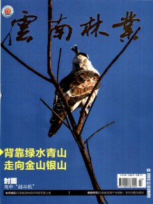 云南林业期刊