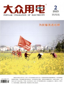 大众用电期刊