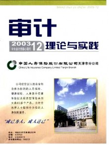 审计理论与实践期刊