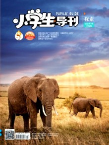 小学生导刊·中年级期刊