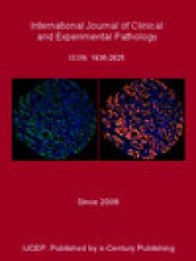 International Journal Of Clinical And Experimental Pathology期刊