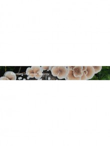 Frontiers In Fungal Biology期刊