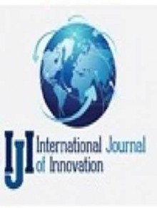 International Journal Of Innovation期刊