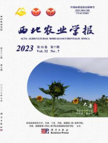 西北农业学报期刊
