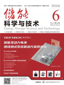 储能科学与技术期刊