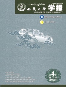 西藏大学学报·社会科学版期刊