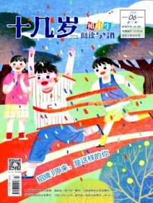 十几岁期刊