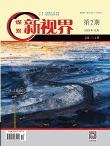煤炭新视界期刊