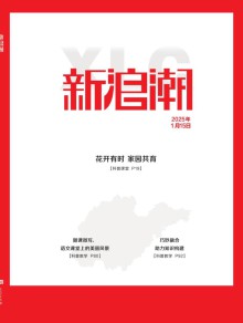 新浪潮期刊