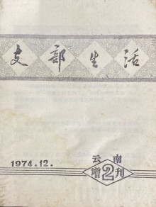 云南支部生活期刊