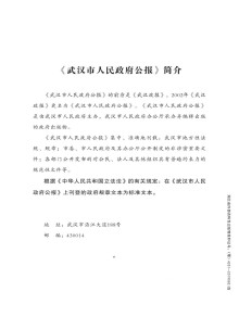 武汉市人民政府公报期刊
